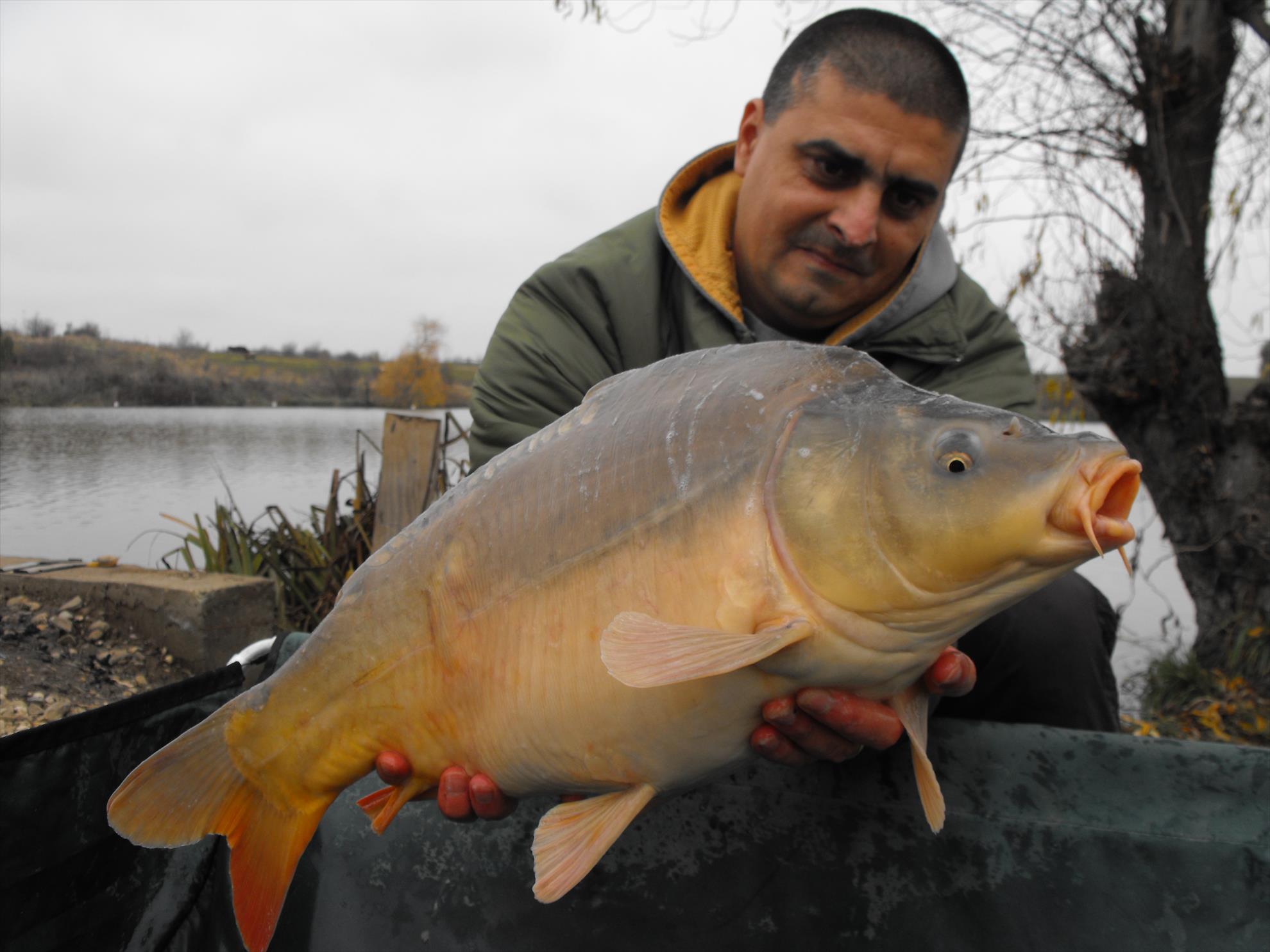 Hermes Peris 15 noiembrie 2014 - dscf1022.JPG